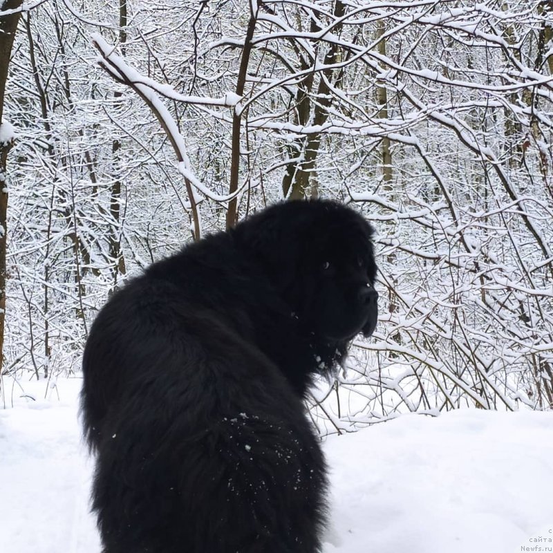 Фотография № 248085