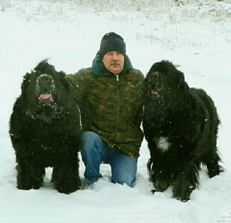 Фото: Evgeniy Stepanov (Евгений Степанов)