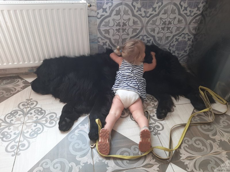 Фотография № 248123