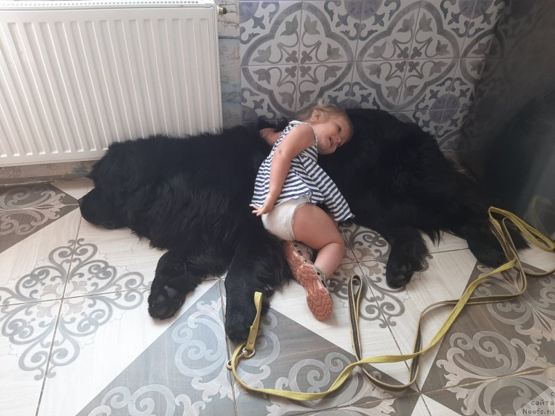 Фотография № 248124