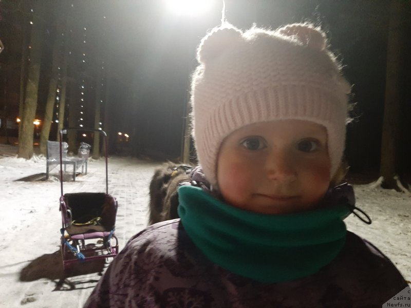 Фотография № 248128