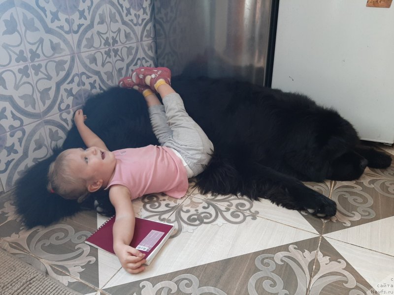 Фотография № 248130