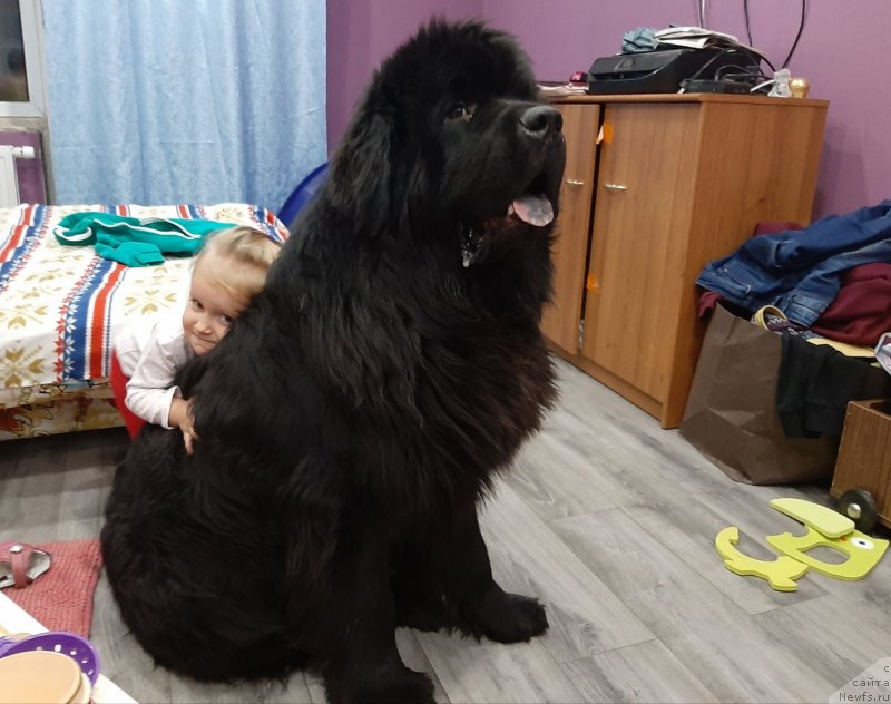 Фотография № 248132