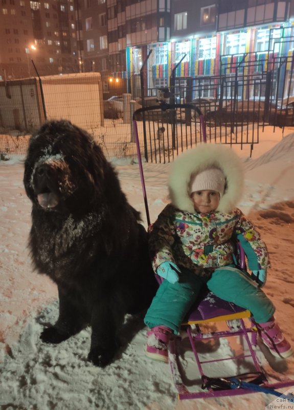 Фотография № 248137