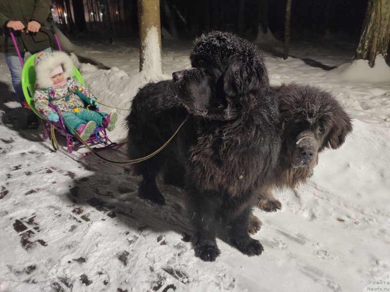 Фотография № 248138