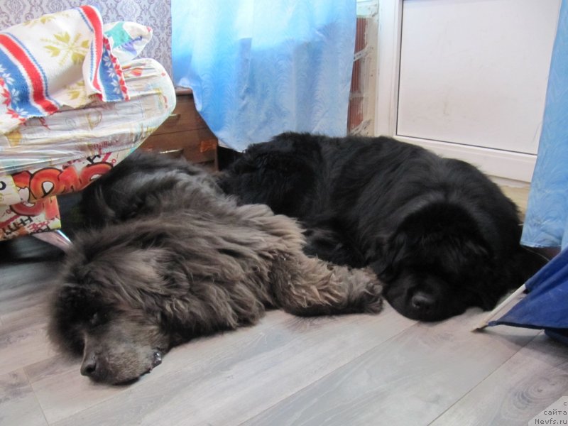 Фотография № 248139