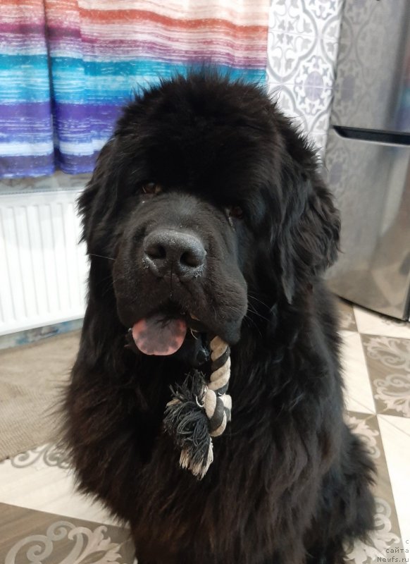 Фотография № 248140