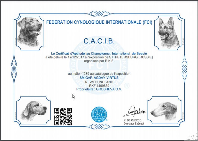 Фото: ньюфаундленд Smigar Agday Virtus (Смигар Агдай Виртус)