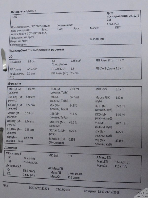 Фото: ньюфаундленд Smigar Agday Virtus (Смигар Агдай Виртус)