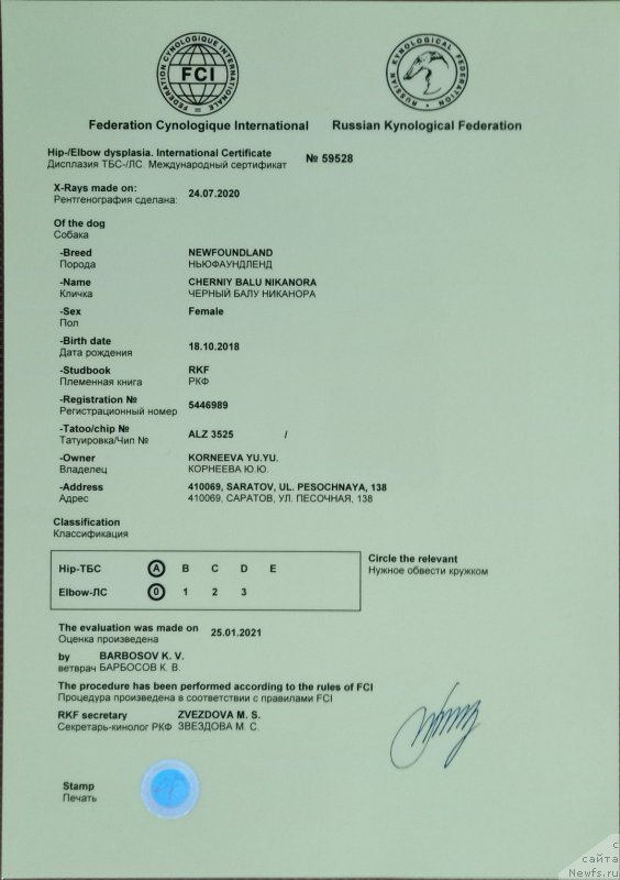 Фото: ньюфаундленд Cherniy Balu Nikanora (Черный Балу Никанора)