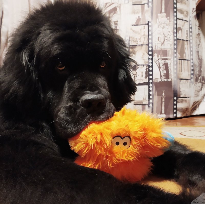 Фотография № 248189