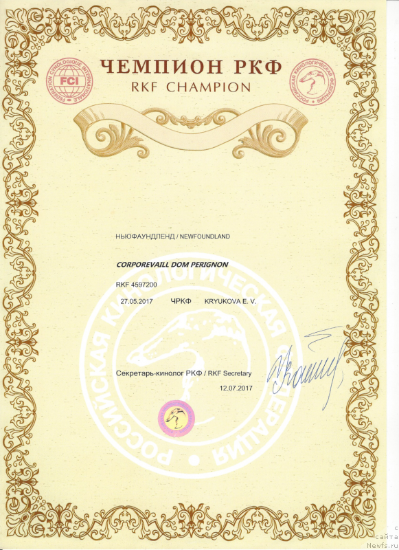 Фото: ньюфаундленд Corporevaill Dom Perignon