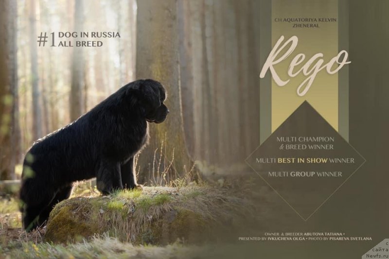 Фотография № 248226