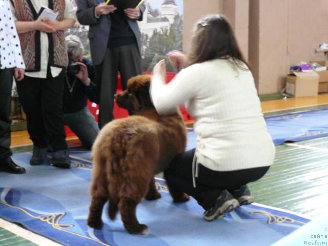 Фотография № 24835