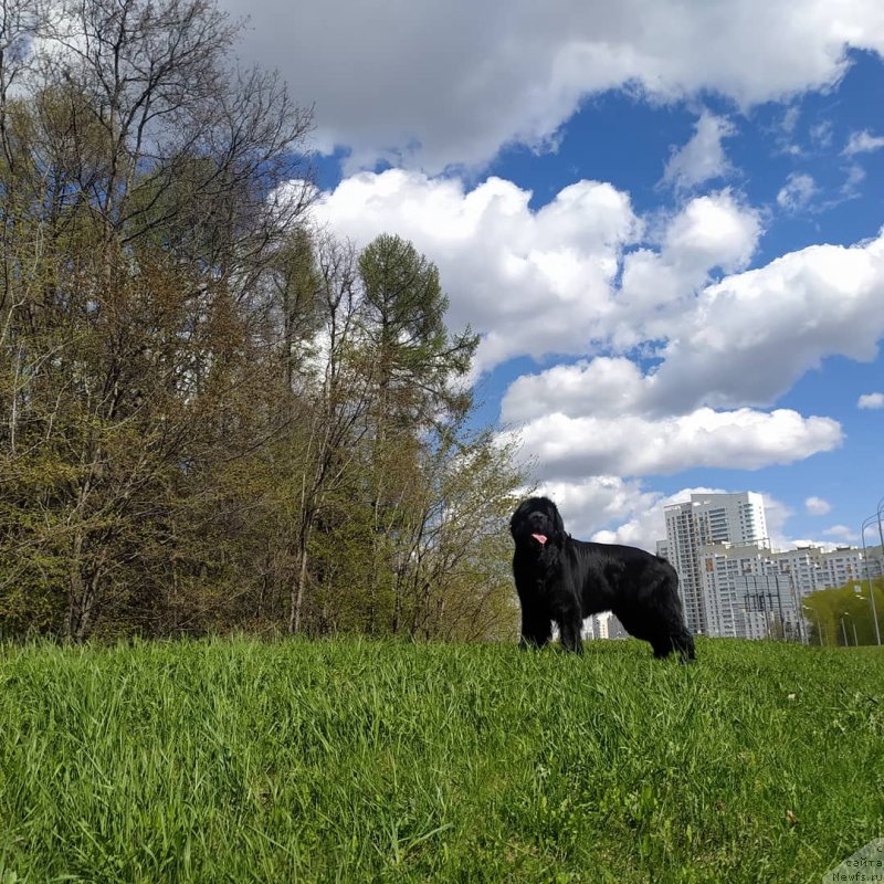 Фотография № 248377