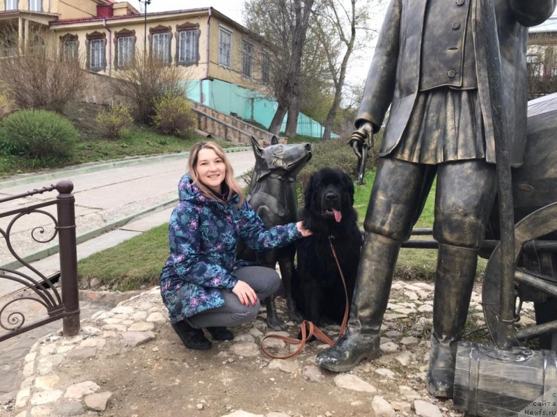 Фото: ньюфаундленд Elizara Tauyer (Елизара Тауэр)