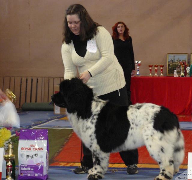 Фотография № 24846