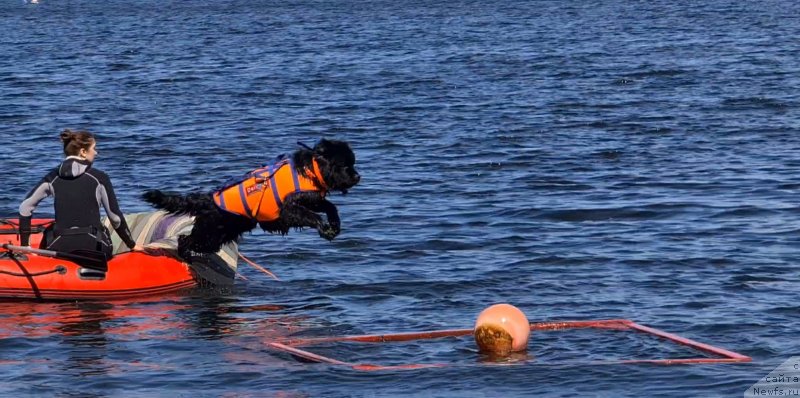 Фотография № 248469