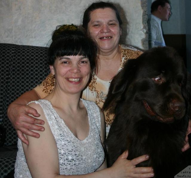 Фото: ньюфаундленд Zorran Snejnyiy Podarok (Зорран Снежный Подарок)