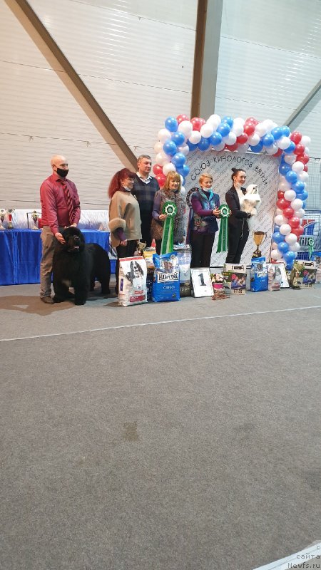 Фото: ньюфаундленд Vyatskiy Medved Prohor (Вятский Медведь Прохор)