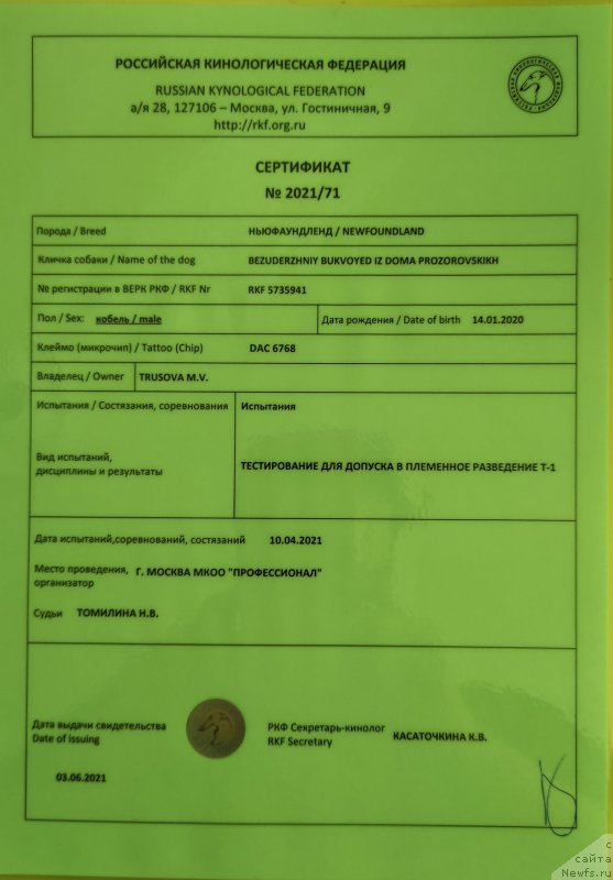 Фото: ньюфаундленд Bezuderzhniy Bukvoyed iz Doma Prozorovskikh (Безудержный Буквоед из Дома Прозоровских)