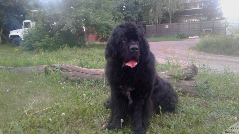 Фотография № 248526