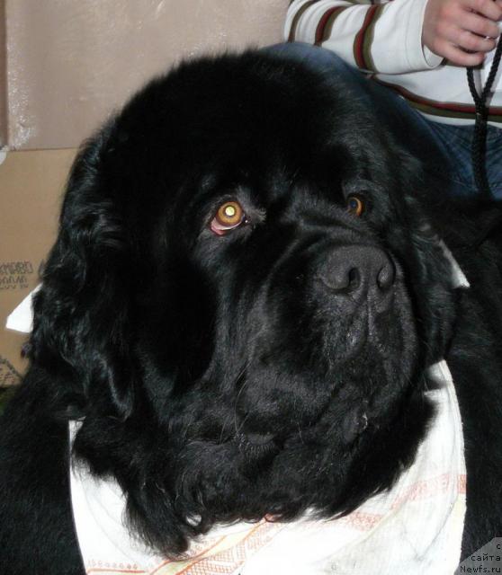 Фотография № 24854