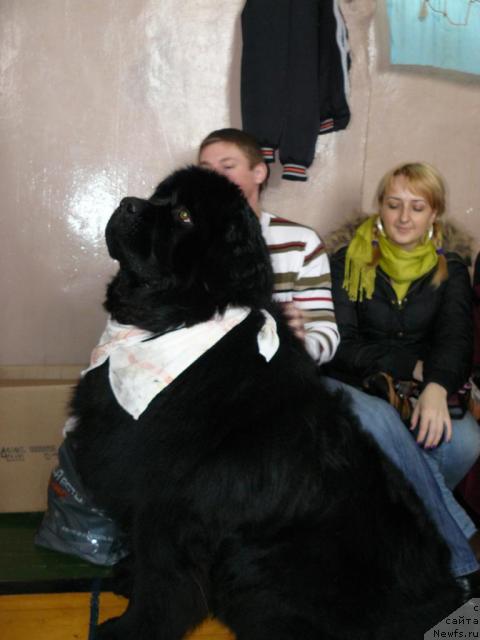 Фотография № 24856