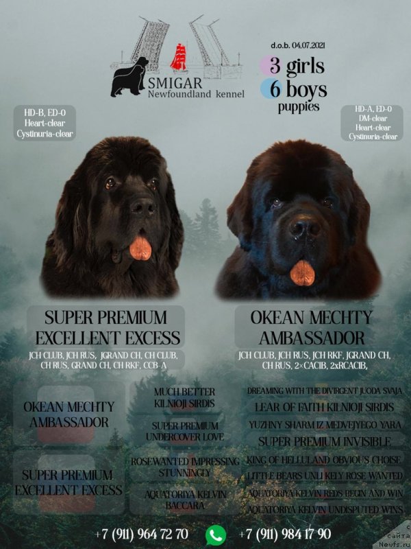 Фотография № 248581