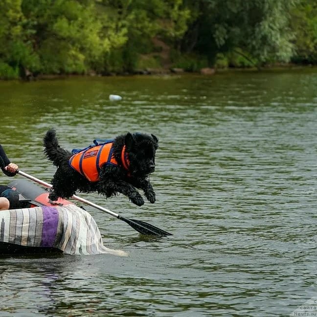 Фотография № 248583