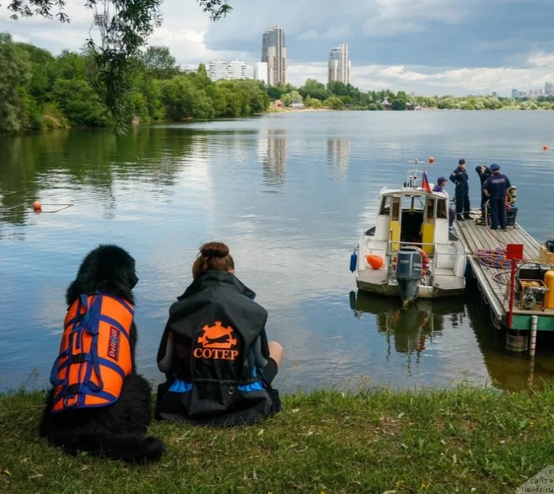 Фотография № 248584