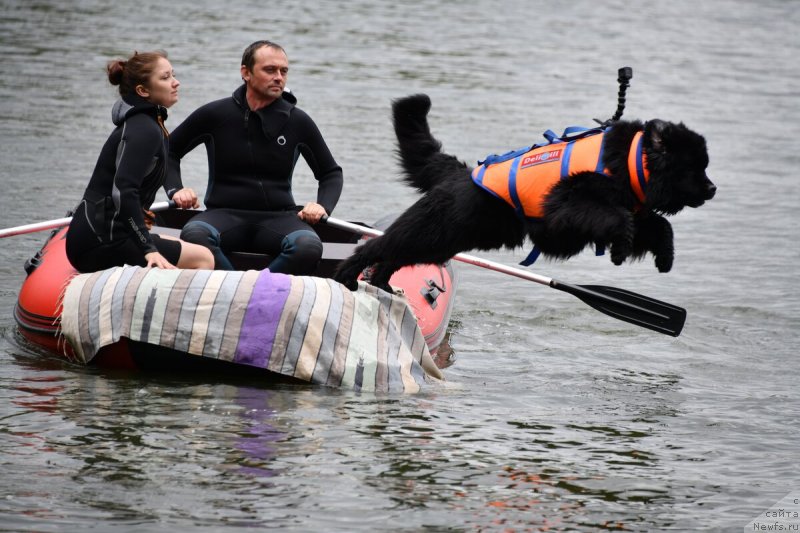 Фотография № 248589