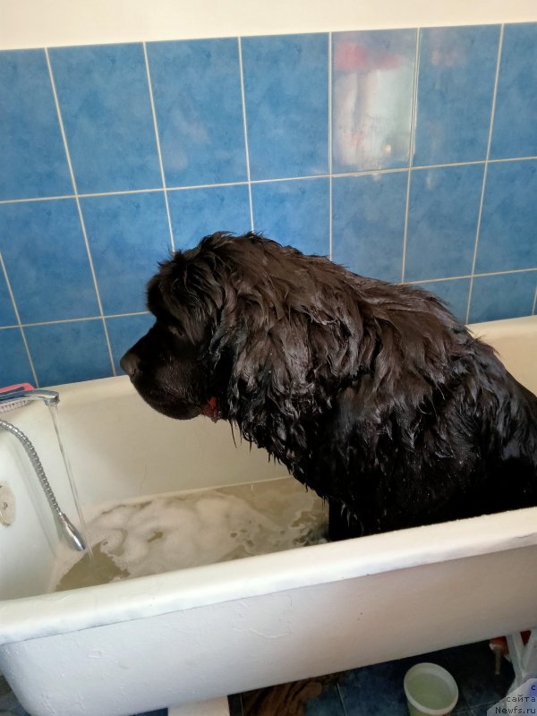 Фотография № 248605