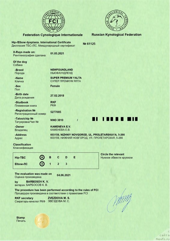 Фото: ньюфаундленд Super Premium Yalta (Супер Премиум Ялта)