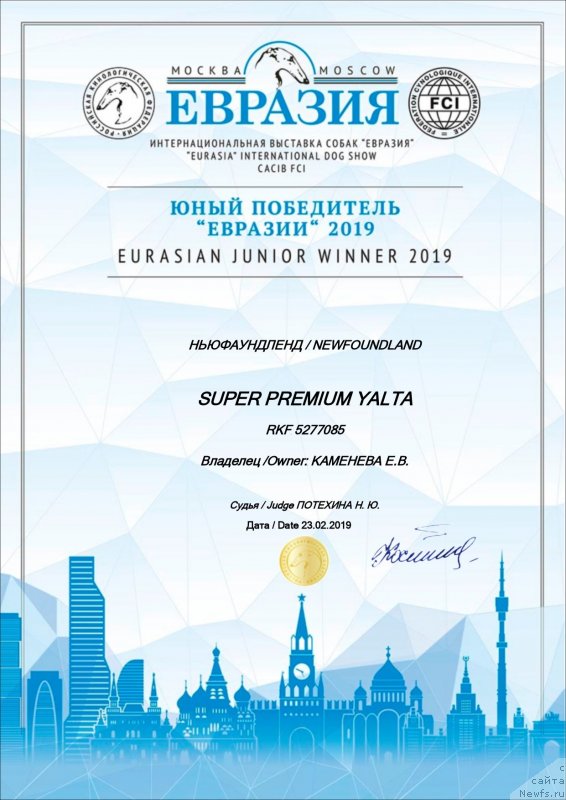 Фото: ньюфаундленд Super Premium Yalta (Супер Премиум Ялта)