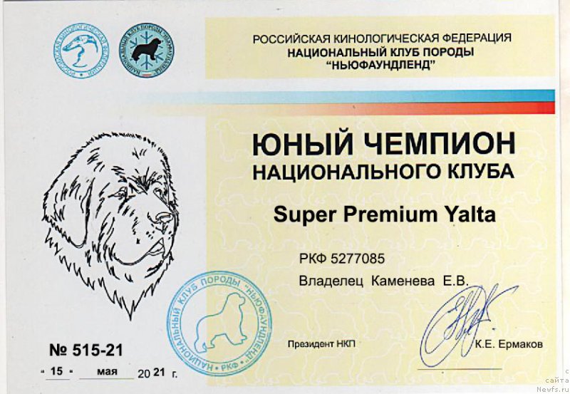 Фото: ньюфаундленд Super Premium Yalta (Супер Премиум Ялта)