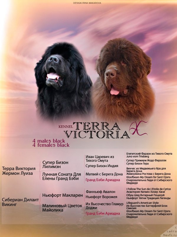 Фотография № 248733