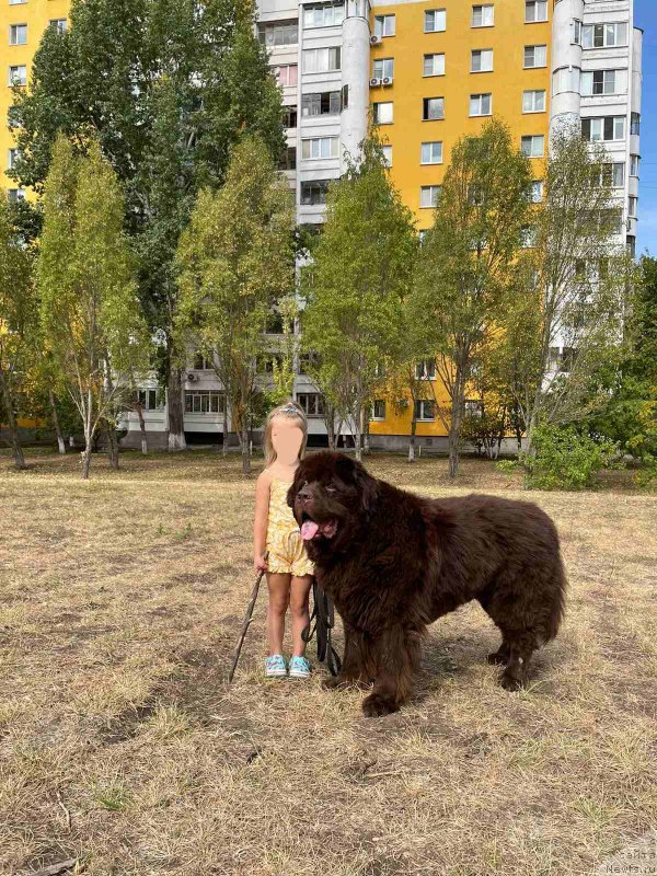 Фотография № 248787