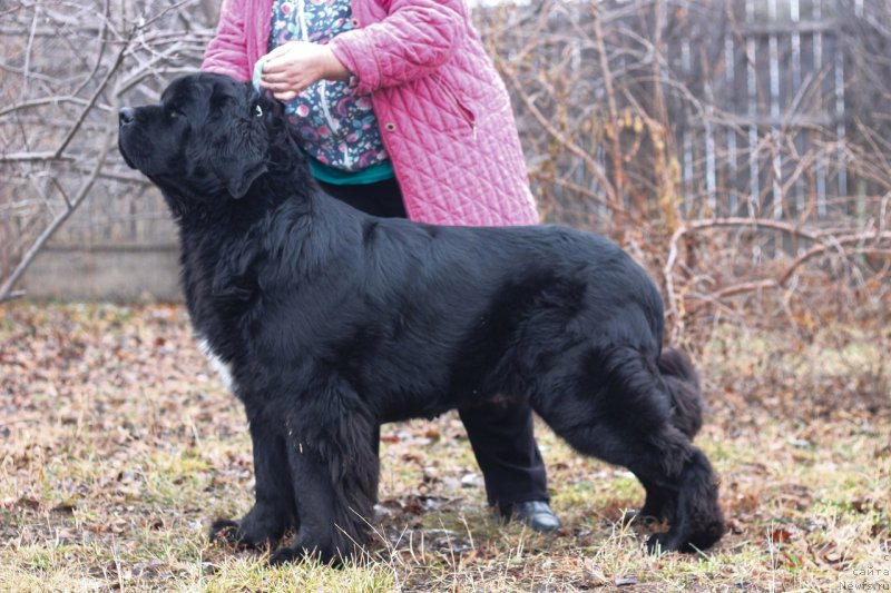 Фотография № 248803