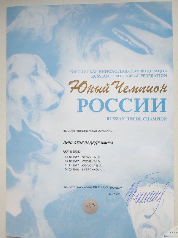 Фото: Ekaterina Pestryakova (Екатерина Пестрякова), ньюфаундленд Dinastiya Padede Imira (Династия Падеде Имира)