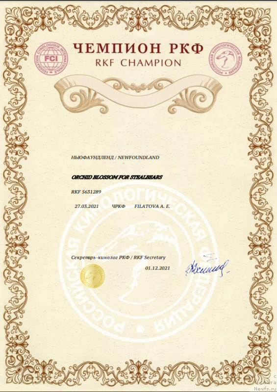 Фото: ньюфаундленд Orchid Blossom for Stealbears (Орхид Блоссом фор Стеалбеарс)