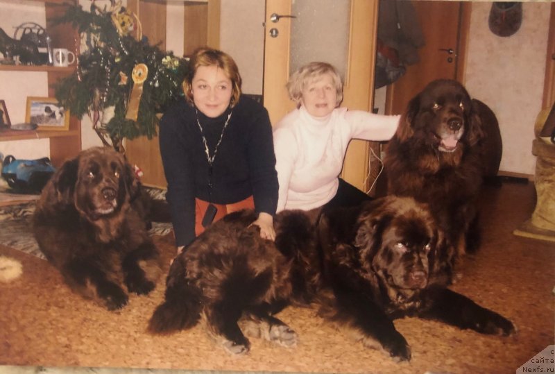 Фото: ньюфаундленд YUdjin s Berega Dona (Юджин с Берега Дона), ньюфаундленд Igerma iz Akademii Shokolada (Игерма из Академии Шоколада), ньюфаундленд YUtta s Berega Dona (Ютта с Берега Дона), Liliana Rahmatova (Лилиана Рахматова), Natal'ya Smazchikova (Наталья Смазчикова)