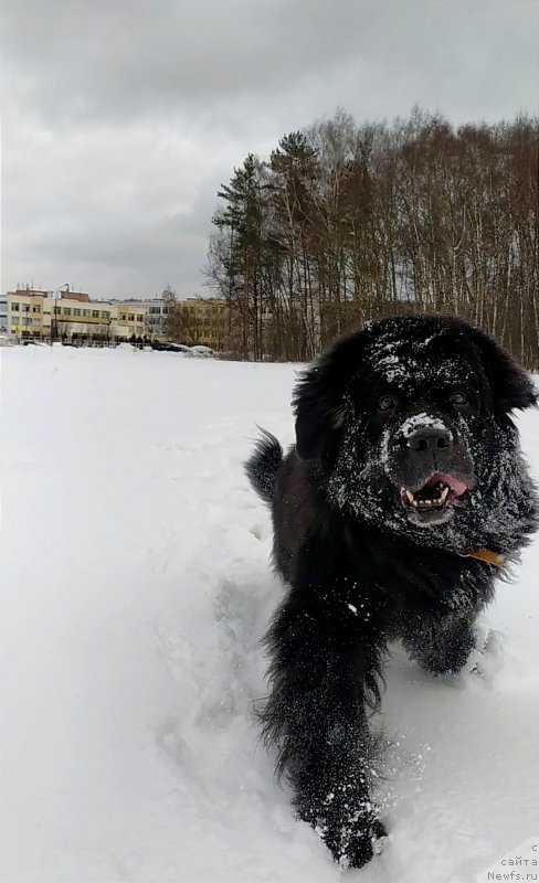 Фотография № 248892