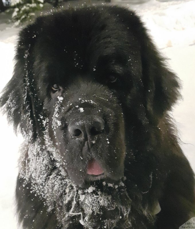 Фотография № 248911