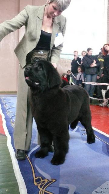 Фотография № 24894