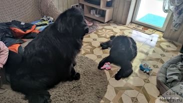 Фотография № 248961