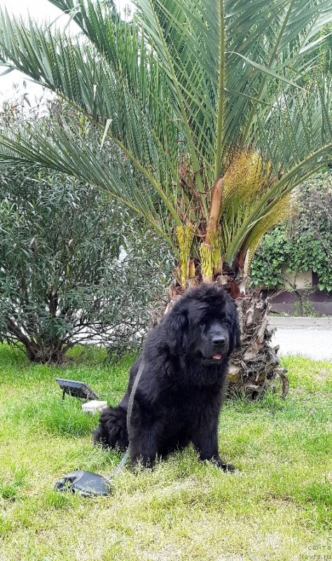 Фотография № 248970