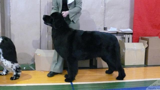 Фотография № 24899