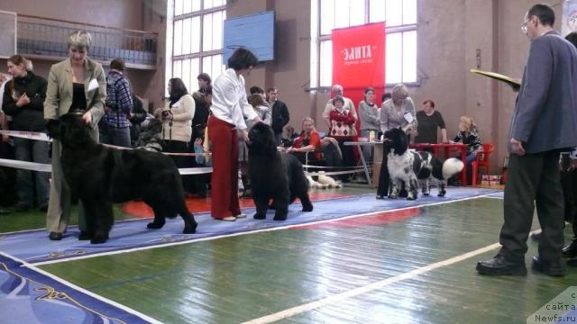 Фотография № 24900