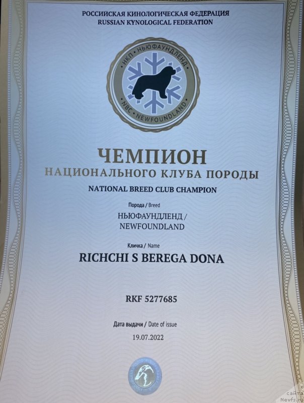 Фото: ньюфаундленд Richchi s Berega Dona (Риччи с Берега Дона)